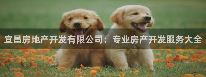万向娱乐平台代理多少钱一个