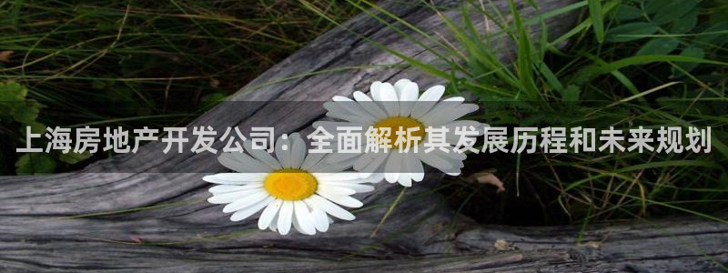 万向娱乐平台代理怎么样