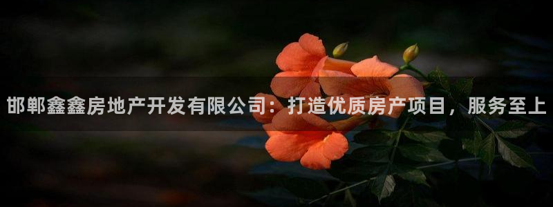 万向娱乐平台好不