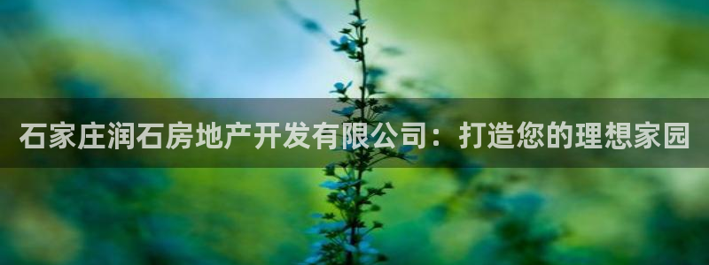 万向娱乐公司 585.34I 娱乐