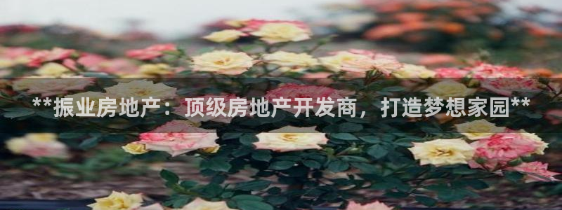 万向娱乐下载
