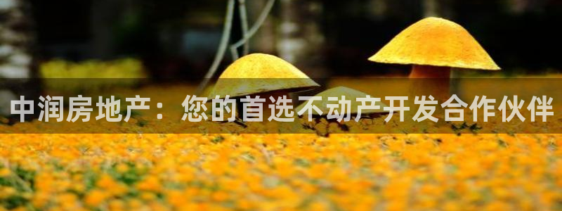 万向娱乐平台代理怎么做的