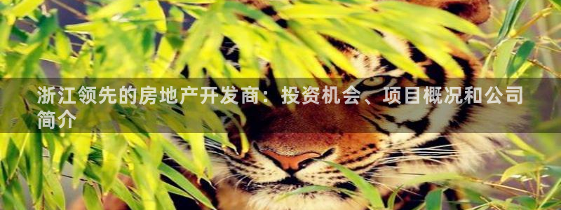 万向娱乐的联系方式