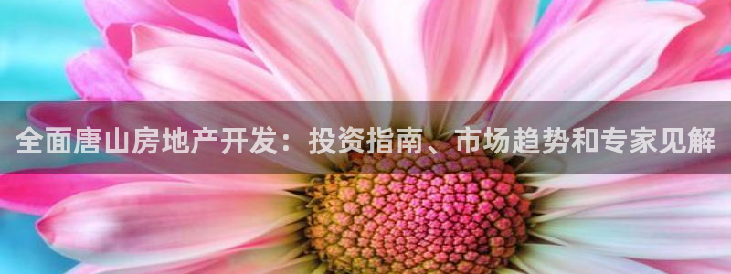 万向娱乐王者荣耀