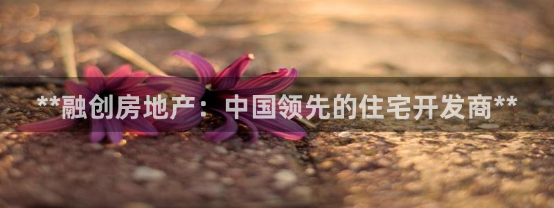 万向娱乐app