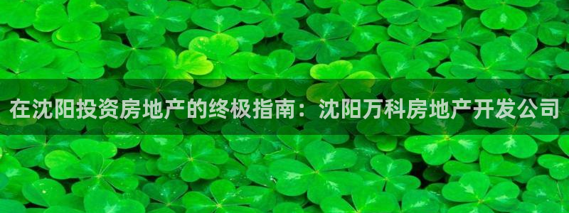 万能娱乐平台直招代理