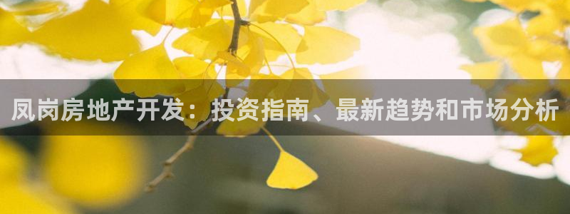 万向娱乐灯333OO