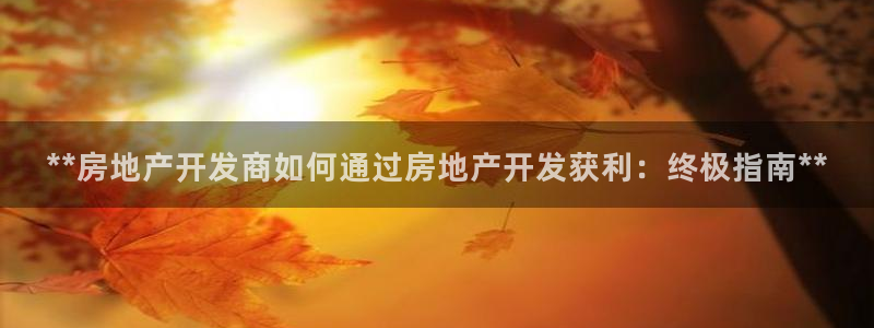万向娱乐是野鸡台吗