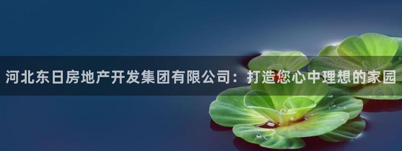 万向娱乐登陆官网入口