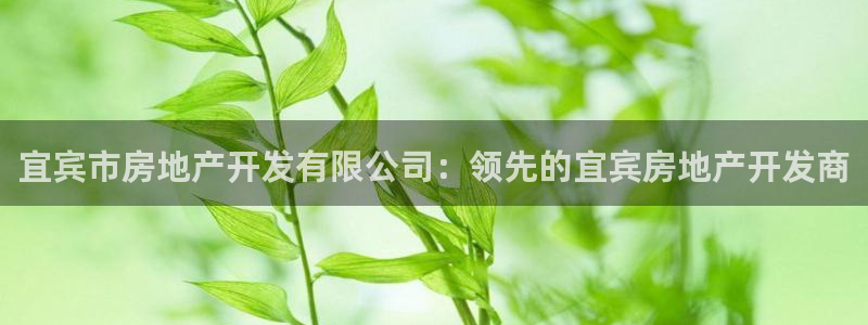 万向娱乐官网下载安装手机版